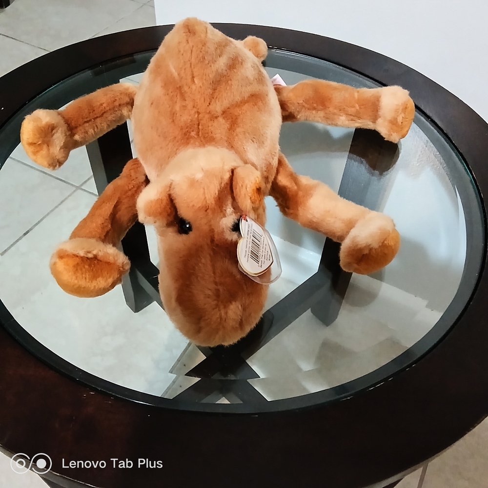 .Vintage Ty Beanie Buddies Humphrey The Camel NWT